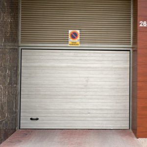 Puerta automática seccional – Piel
